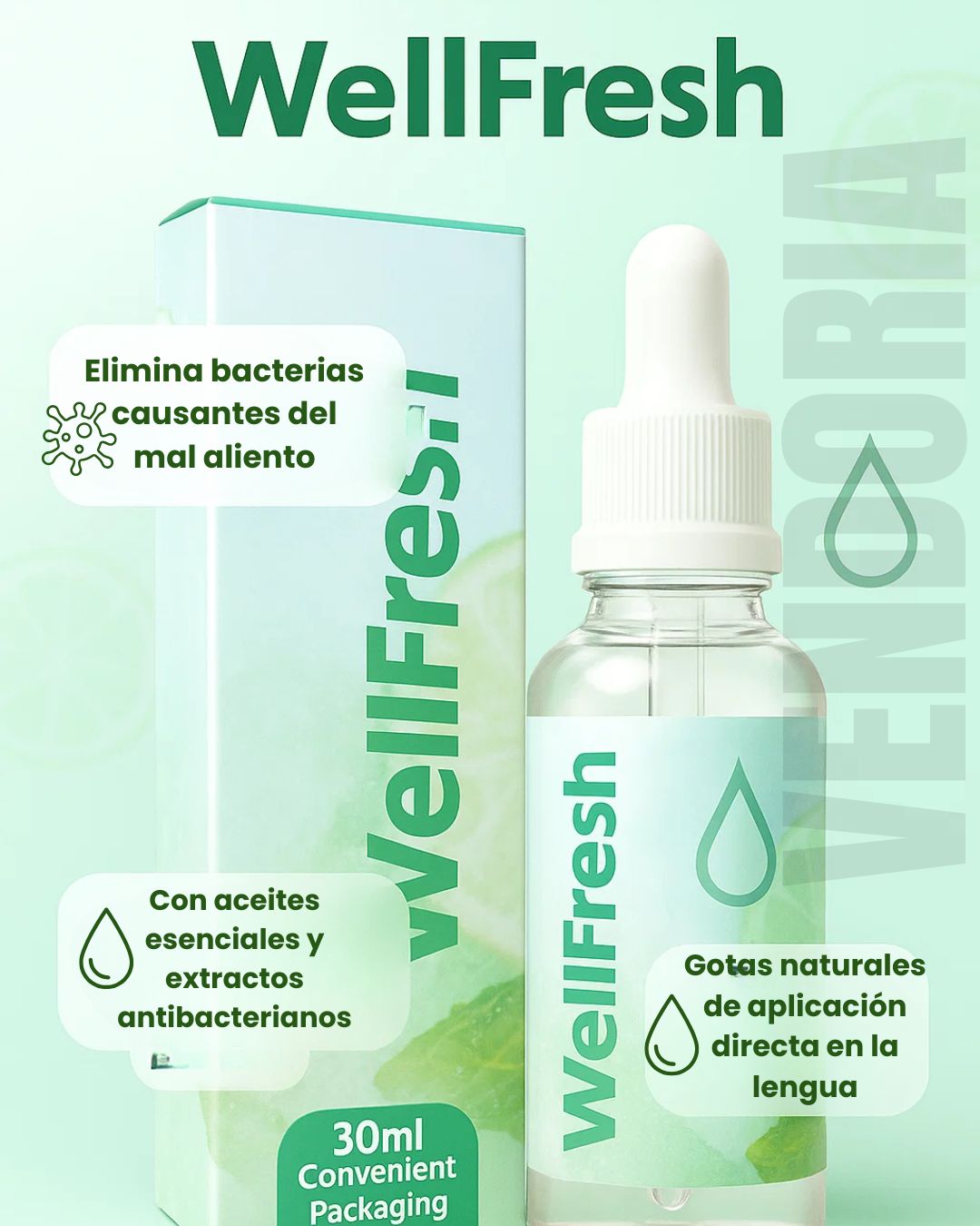 Imagen de sección