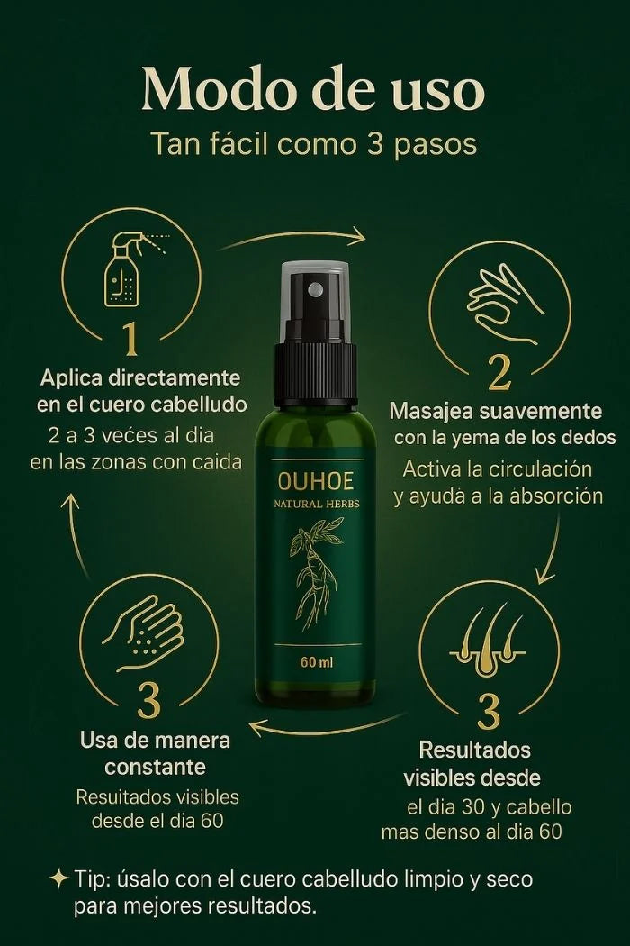Imagen de sección